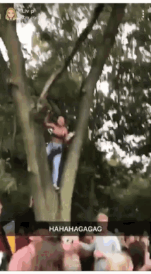a group of people are gathered around a tree with a caption that says ' hahahahagag '