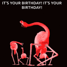 Flamingo Birthday GIF