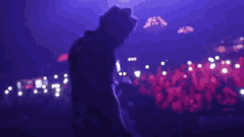 a man is standing on a stage in front of a crowd of people at a concert .