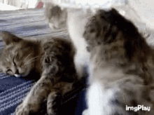 Nap Time Snuggles GIF - Nap Time Snuggles Goodnight GIFs