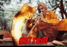 Get Real Cat GIF - Get Real Cat Snake GIFs
