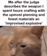 Sad Cat Explosive GIF - Sad Cat Explosive Improvised GIFs