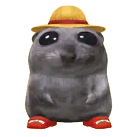 a hamster wearing a hat and red shoes