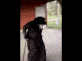 Scp 049 Has Breached Containment GIF - Scp 049 Has Breached Containment GIFs