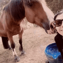 Selfie Horse GIF - Selfie Horse Pet GIFs