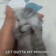 a person is holding a cat with the words get outta my mind written below it