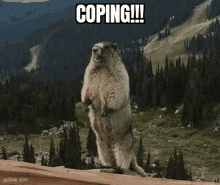 Coping Beaver GIF - Coping Beaver Screaming GIFs