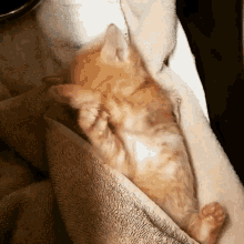 Relaxed Sweet GIF - Relaxed Sweet Dreams GIFs