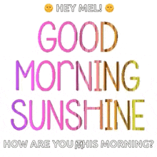Goodmorning Goodmorningsunshine GIF - Goodmorning Goodmorningsunshine Goodday GIFs