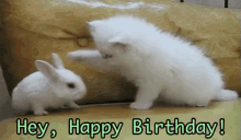 Hey Happy Birthday GIF - Birthday Kitty Bunny GIFs