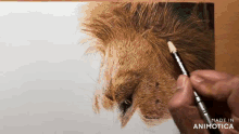 a person is drawing a lion 's head with a brush and the words made in animotica are visible