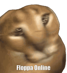 online floppa