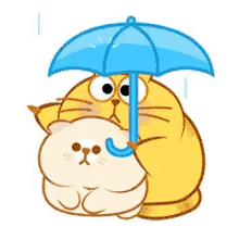 Cats Protect GIF - Cats Protect Raining GIFs