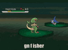 Gn Fisher Fisher GIF - Gn Fisher Fisher Gn Gc GIFs