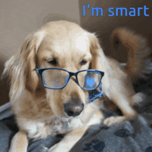 Smart Intelligent GIF - Smart Intelligent Genuis GIFs