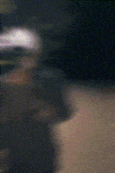 Jjk Jujutsu Kaisen GIF - Jjk Jujutsu Kaisen Gojo GIFs