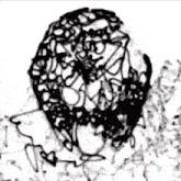 a black and white drawing of a spider on a white background .