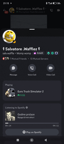 a screenshot of salvatore wafflez 's spotify account