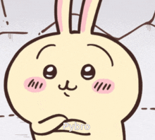 a cartoon of a bunny with the name pybro written below it