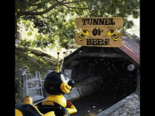 Tunnel Of Bees GIF - Tunnel Of Bees GIFs