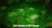 Fine Dining Onp GIF - Fine Dining Onp Kenya GIFs