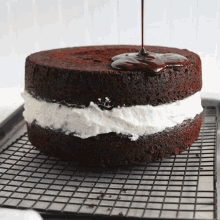 Covered In Chocolate - Cake GIF - Cake GIFs