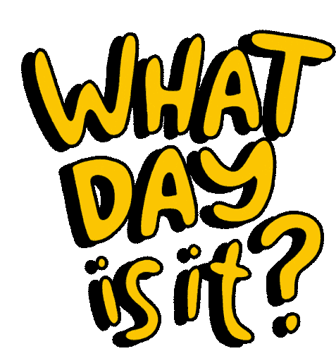 What Day Is It What Day Is It Today Sticker - What Day Is It What Day What Day Is It Today Stickers