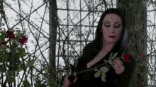 Don'T Torture Yourself Gomez - The Addams Family GIF - Torture Addams Family Mortiica Addams GIFs