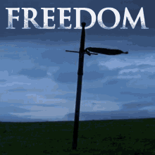 Brave Heart Freedom GIF - Brave Heart Freedom Sword GIFs