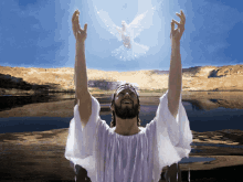 Jesus Dove GIF - Jesus Dove Water Baptism GIFs