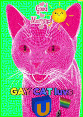 a pink cat with the words gay cat luvs written on the bottom