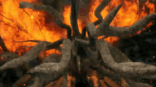 Bed Of Chaos Boss Fight GIF - Bed Of Chaos Boss Fight Dark Souls GIFs