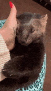 a woman with red nails is petting a small furry animal