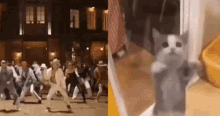 Suga Cat Dance Bts Suga GIF - Suga Cat Dance Suga Cat Bts Suga GIFs