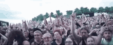 Crowed Pumped GIF - Crowed Pumped Jumping GIFs