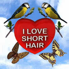 I Love Short Hair Pixie Cut GIF - I Love Short Hair Pixie Cut Cropped Hair GIFs