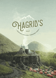 Harry Potter Hagrid GIF - Harry Potter Hagrid GIFs