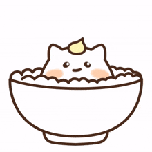 chubby cute cat food hungry