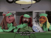 Muppets Muppet Show GIF - Muppets Muppet Show Vetrinarians Hospital GIFs