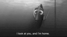 a black and white photo of a fish with the words " i look at you and i 'm home "