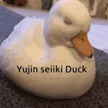 Yujin Seiiki Duck GIF - Yujin Seiiki Duck Yujin GIFs