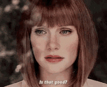 Is That Good? GIF - Jurassic World Bryce Dallas Howard Claire GIFs