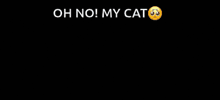 a cat is in a washing machine with the words oh no my cat above it