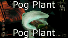 Pog Plant Pog GIF - Pog Plant Pog Plant GIFs
