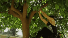 Jared Leto Tree GIF