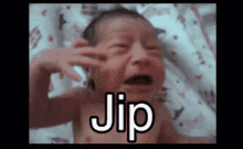 Jip Baby GIF - Jip Baby GIFs
