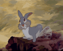 Thumper Bambi GIF - Thumper Bambi Rabbit GIFs