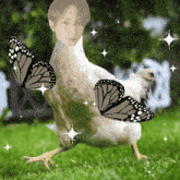 a chicken with butterflies on its wings and a picture of a man on its head