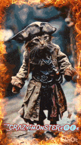 a picture of a cat dressed as a pirate with crazy monster written on the bottom right
