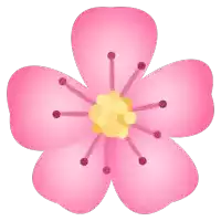 a close up of a pink flower with a yellow center on a white background